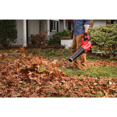 V20* Cordless WEEDWACKER® String Trimmer & Blower Combo Kit With 4.0 Ah Battery and Charger