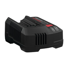 V20* Lithium Ion Charger