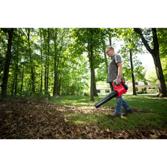 V20* BRUSHLESS RP™ WEEDWACKER® String Trimmer & Blower Combo Kit With 5.0 Ah Battery and Charger