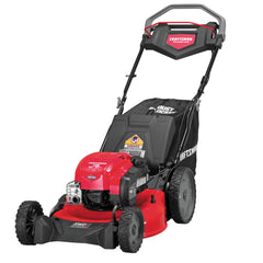 21-in. 163cc RWD Gas Self-Propelled Mower (M320)