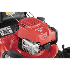 21-in. 163cc RWD Self-Propelled Gas Lawn Mower (M310)